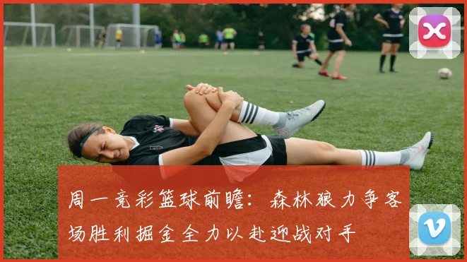 周一竞彩篮球前瞻：森林狼力争客场胜利掘金全力以赴迎战对手