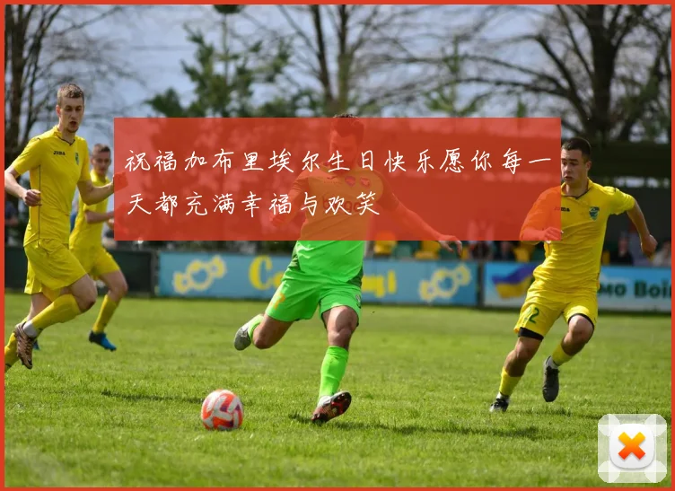 祝福加布里埃尔生日快乐愿你每一天都充满幸福与欢笑